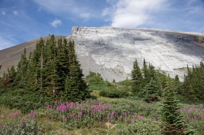 Huge gray limestone exposure at the pass