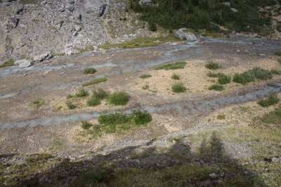 Brazeau River headwaters flowing below the pass