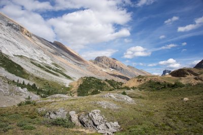 Limestone and Dolomite exposure
