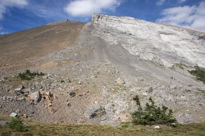 Limestone and Dolomite exposure