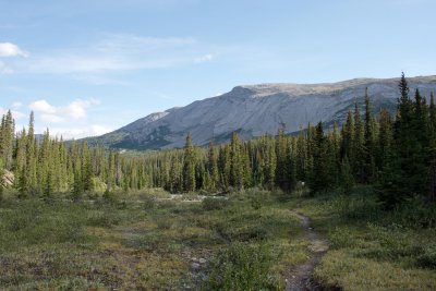 foliate rocks on the mountainside