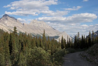 nearing the end of the trail