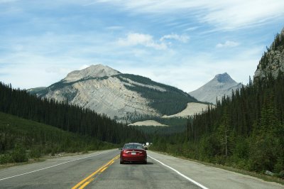 north on the Icefields Parkway