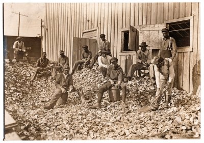 Oyster shuckers at Apalachicola, Fla. 1909 print (Library of Congress)