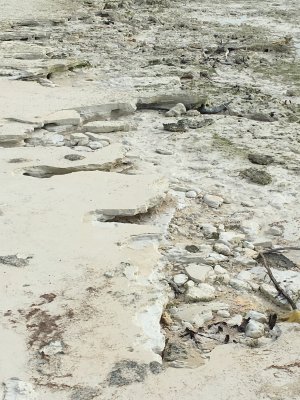 On the east coast this would be hard karst - here, it's still soft