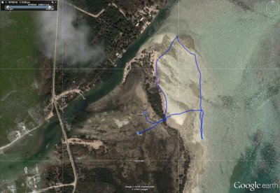 Feb 6 Cargill Creek beach survey - Track 119
