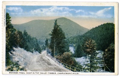 Mohawk Trail. Deep in the Valley Timber, Charlemont Hills.