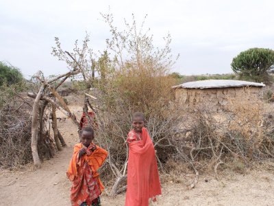 The bomas entrance (formerly blocked by the thorn tree)