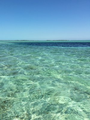 oceanic blue hole, southern cays of South Andros