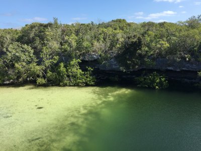 blue hole, South Andros