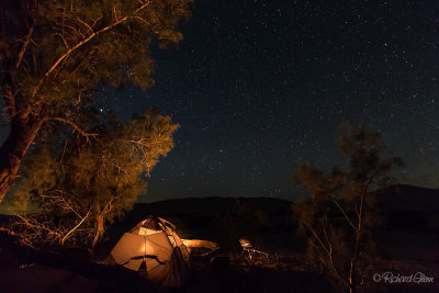 Peaceful evening in the Mojave Desert