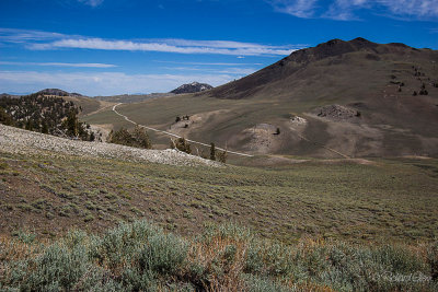 Summer at 12,000'