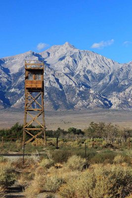 Security Gun Tower