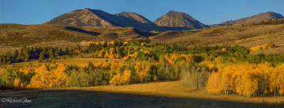 Fall in the Sierra Nevada