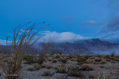 Morning Blue Hour