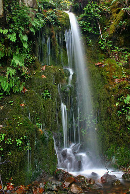 Ephemeral Falls along Agness Road