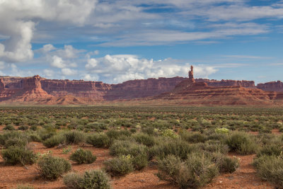 Springtime in Valley of the Gods