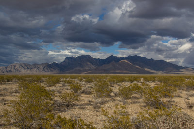 Mojave National Preserve