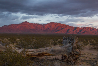 Clearing Storm, Mohave National Preserve