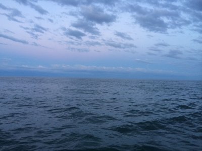 IMG_0210.jpg