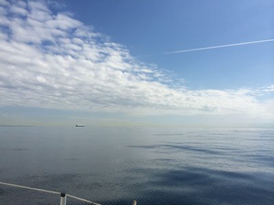 IMG_0217.jpg
