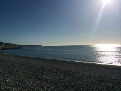 IMG_0260.jpg