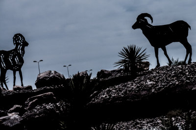 Roadside Attraction