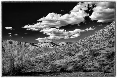 Arizona Sky