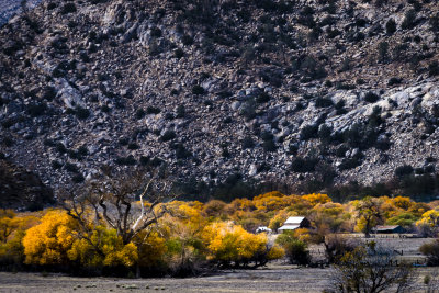 Late Fall Upper Kern River