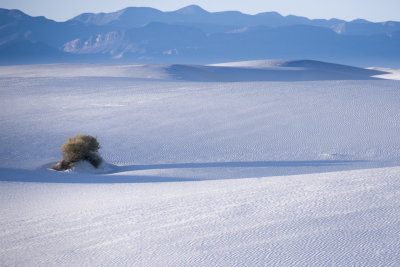 White Sands Quietly