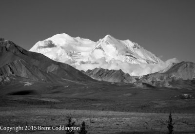 Denali