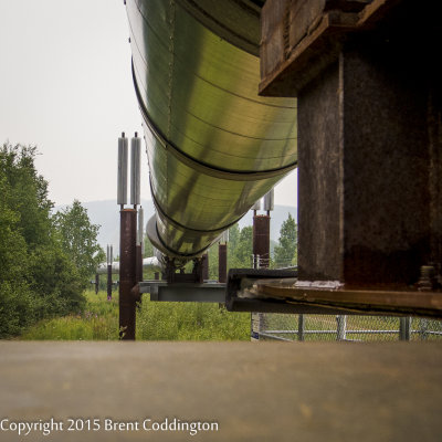 Trans Alaska Pipeline