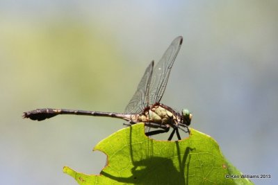 g9/98/983098/3/151473714.8nWkQj0Q.jpg