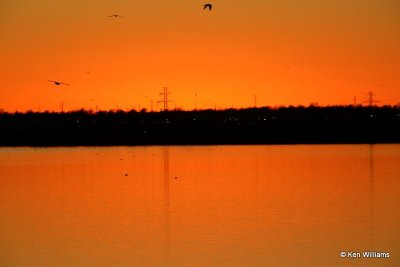 Sunset, Lake Hefner, Oklahoma City, OK, 12_12_2013_Jp_05370.JPG