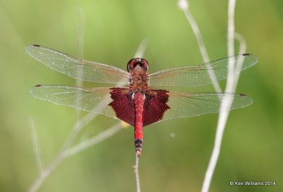 g9/98/983098/3/156747368.lbb4r0XN.jpg