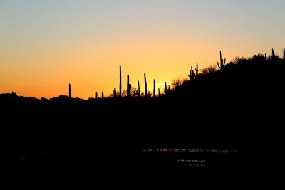 Scenery, Tucson, AZ, 2-18-14, Jp_9406.JPG