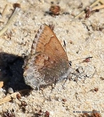 g9/98/983098/3/160259895.nFFfPV1O.jpg