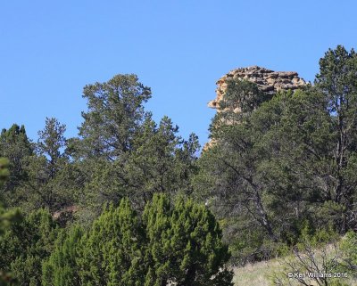 Camp Billy Joe Scenery, Cimarron Co, OK, 5-10-16, Jpa_15402.jpg