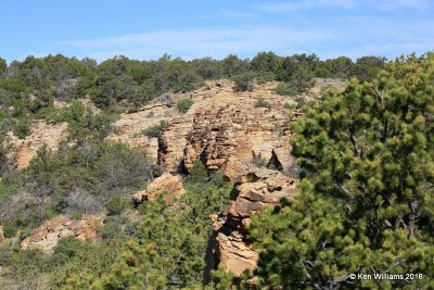 Camp Billy Joe Scenery, Cimarron Co, OK, 5-10-16, Jpa_15412.jpg