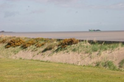 Img_7038.jpg