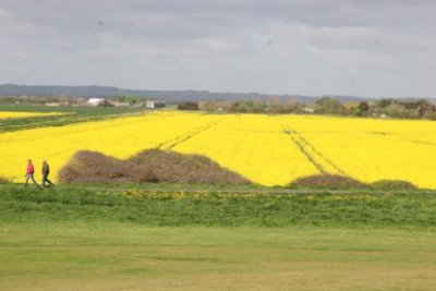 Img_7039.jpg
