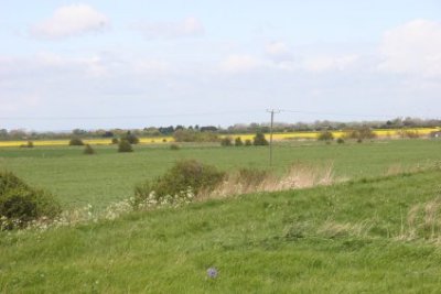 Img_7056.jpg