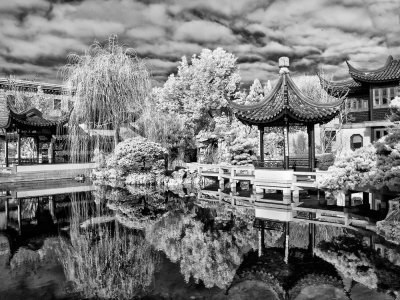 Chinese-Gardens-Portland-1-IR.jpg