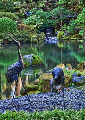 Japanese gardens.jpg