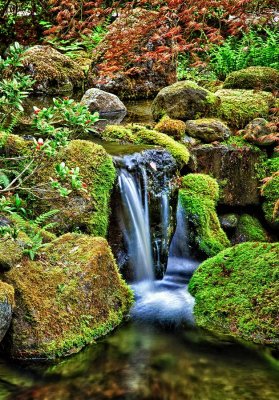 Portland-Japanese-Garden-2.jpg