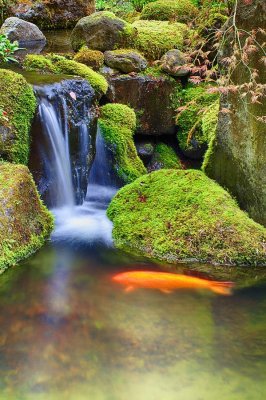 Portland-Japanese-Garden-3.jpg