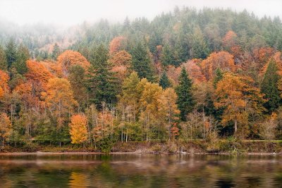 fall-colors-2.jpg