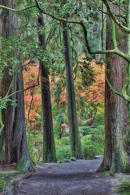 Japanese-Garden-1.jpg