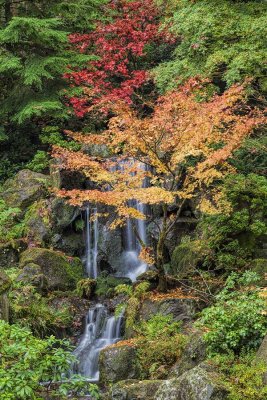 Japanese-Garden-2.jpg