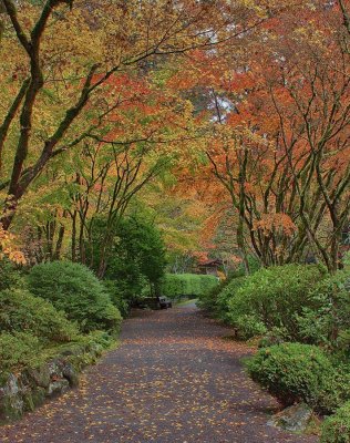 Japanese-garden-4-vignette.jpg